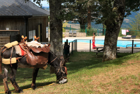 accueil pélerin golinhac